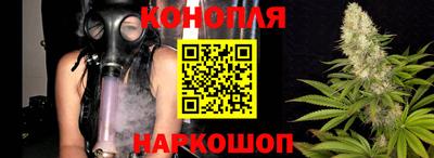 мяу мяу мука Камышлов