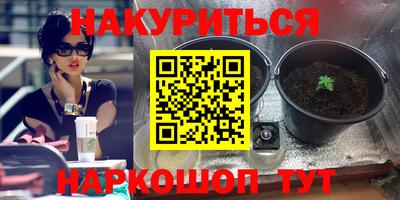 мяу мяу мука Камышлов