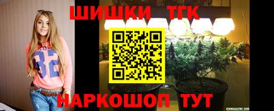 мяу мяу мука Камышлов