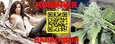 мет Кимры