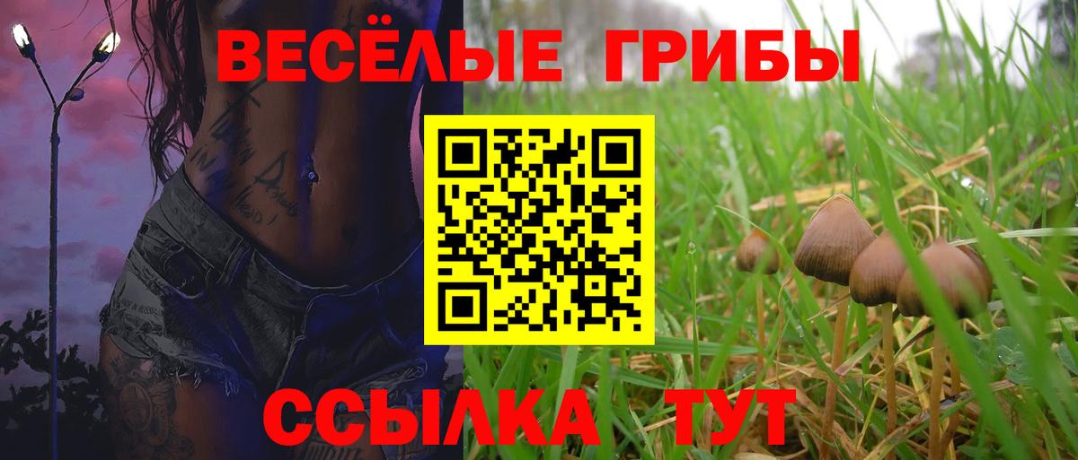 Галлюциногенные грибы Psilocybine cubensis Электросталь