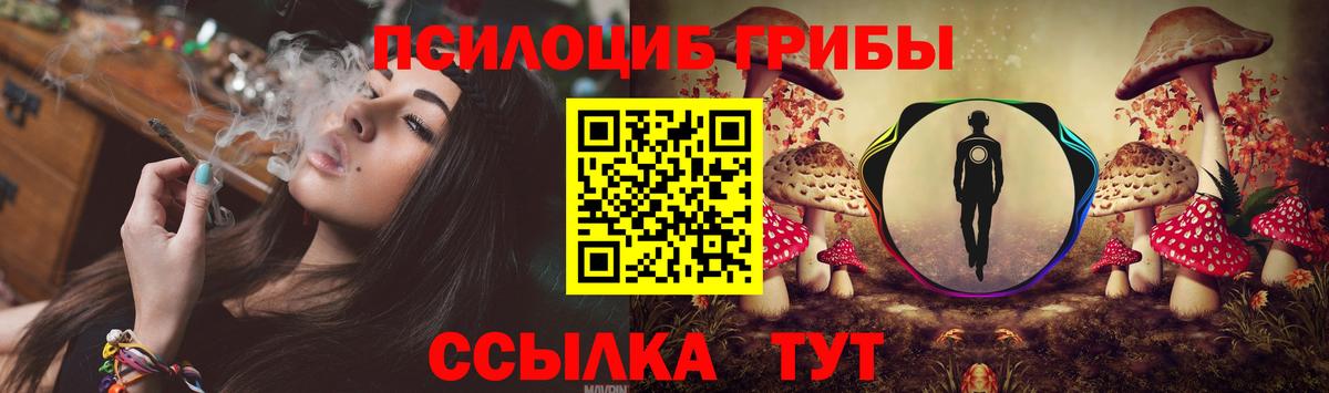 Электросталь  Галлюциногенные грибы Magic Shrooms  Галлюциногенные грибы Psilocybine cubensis  Вход с VPN 